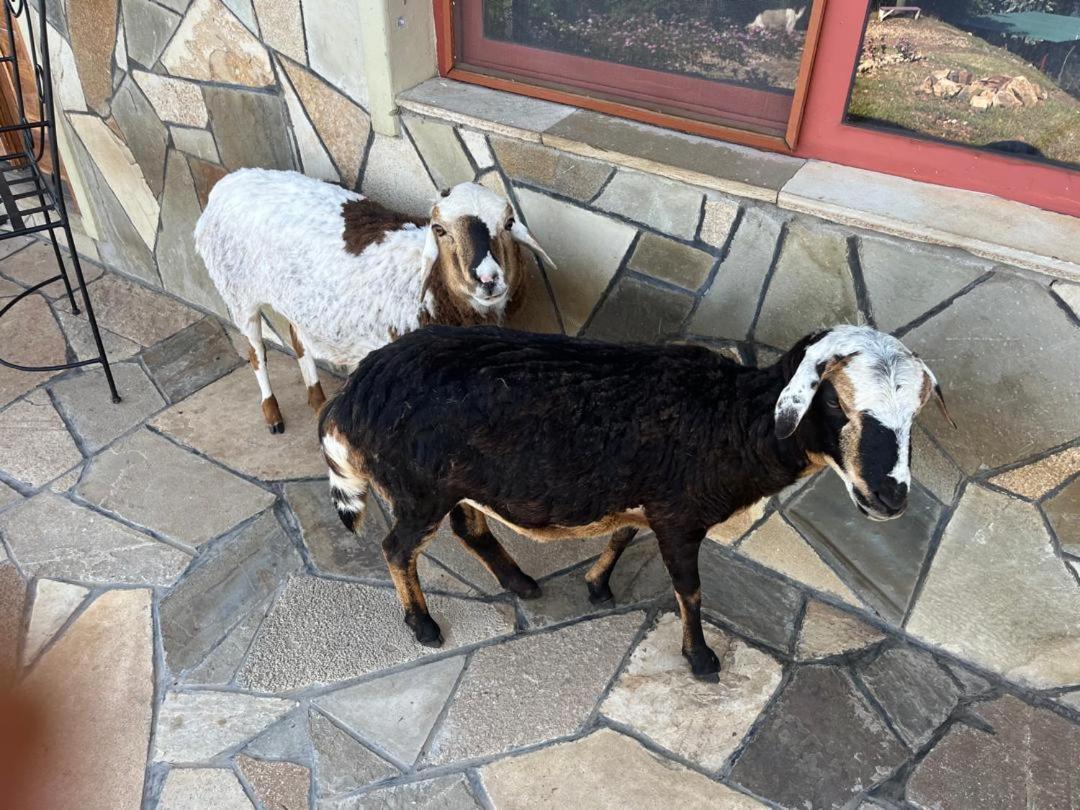 Amazi Land Home And Farm Stay Kibuye Kültér fotó