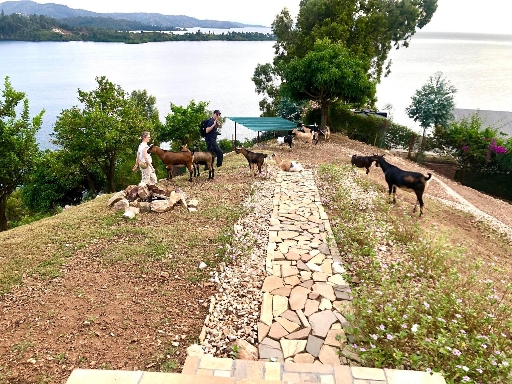 Amazi Land Home And Farm Stay Kibuye Kültér fotó